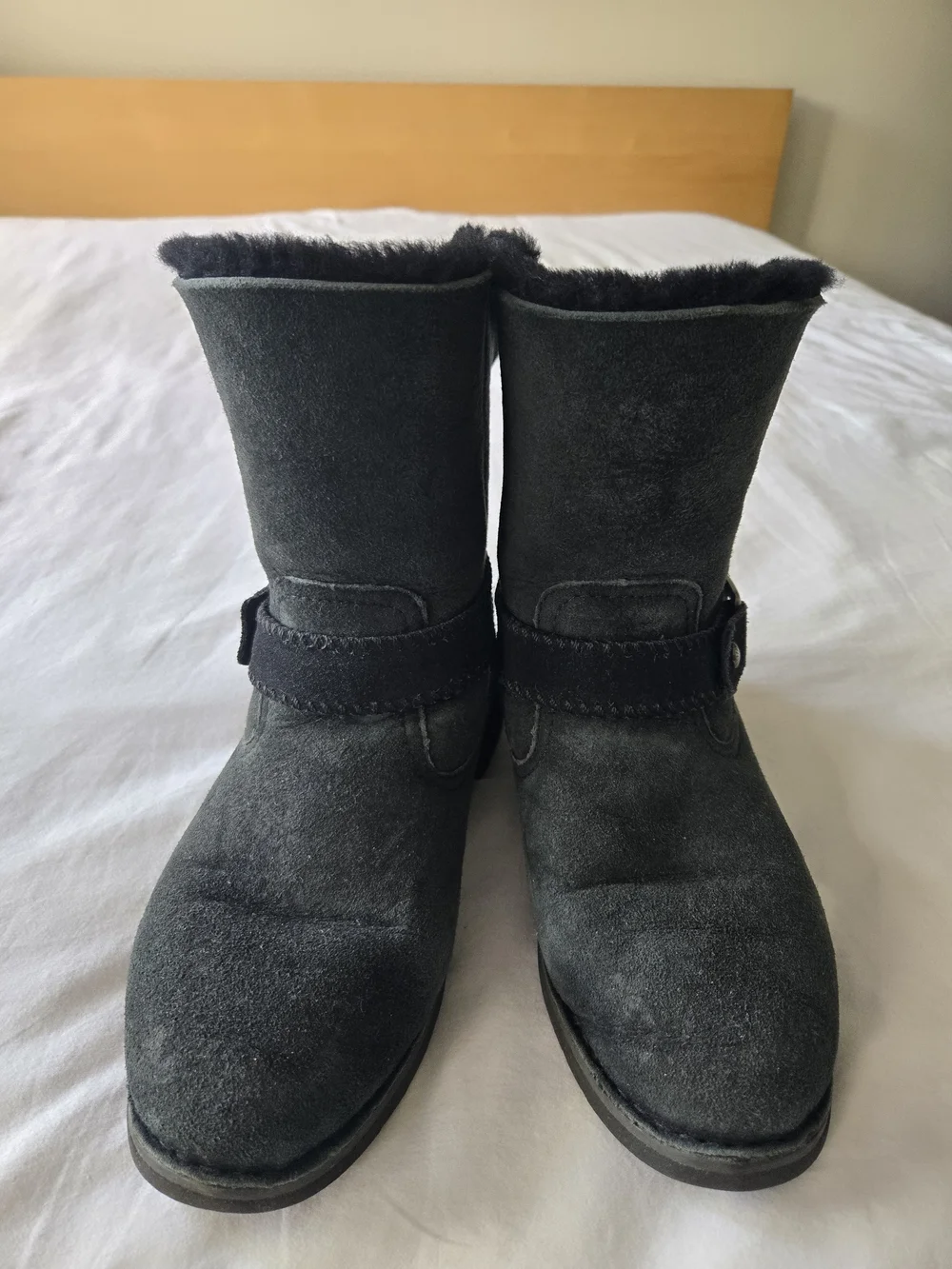 UGG brand australia